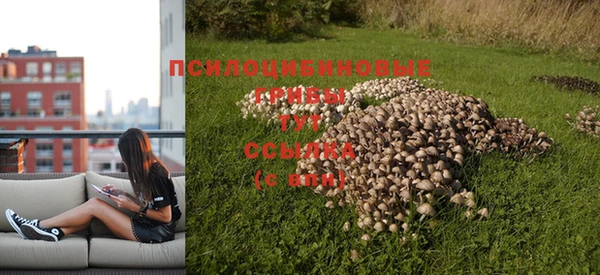 2c-b Остров