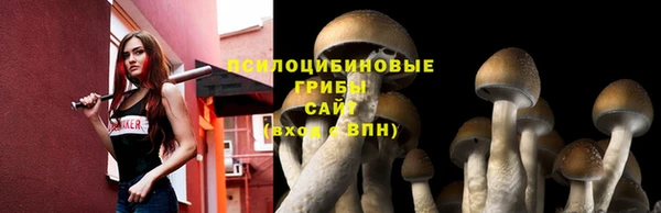 2c-b Остров