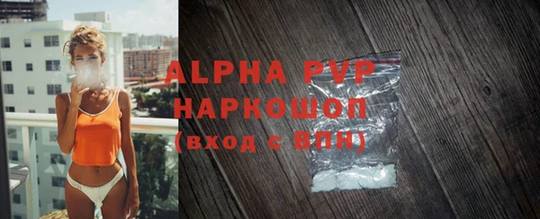 прущие грибы Чекалин