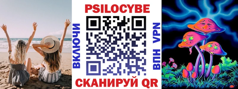 omg онион Черногорск Галлюциногенные грибы Psilocybe