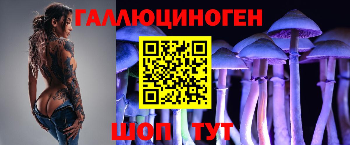 Псилоцибиновые грибы прущие грибы  Черногорск 